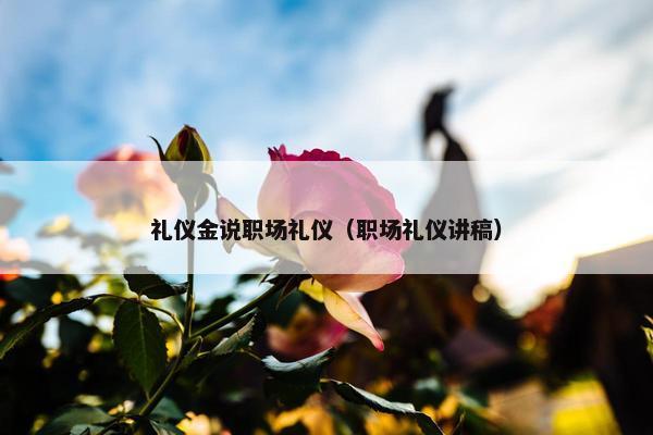 礼仪金说职场礼仪（职场礼仪讲稿）
