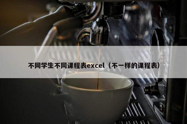 不同学生不同课程表excel（不一样的课程表）