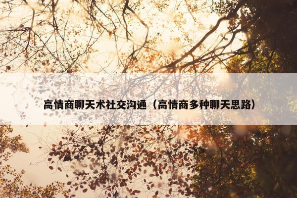 高情商聊天术社交沟通（高情商多种聊天思路）