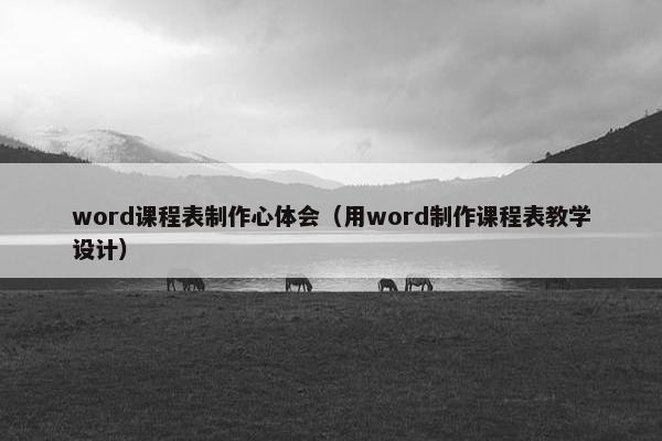 word课程表制作心体会（用word制作课程表教学设计）