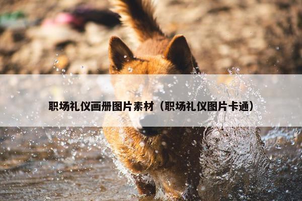 职场礼仪画册图片素材（职场礼仪图片卡通）