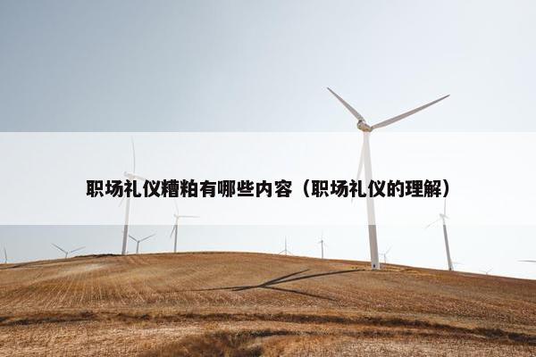 职场礼仪糟粕有哪些内容（职场礼仪的理解）