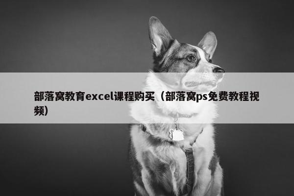 部落窝教育excel课程购买（部落窝ps免费教程视频）