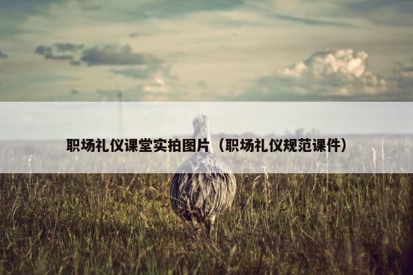 职场礼仪课堂实拍图片（职场礼仪规范课件）