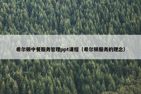 希尔顿中餐服务管理ppt课程（希尔顿服务的理念）