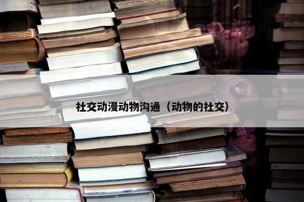 社交动漫动物沟通（动物的社交）