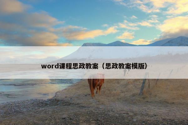 word课程思政教案（思政教案模版）