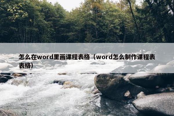 怎么在word里画课程表格（word怎么制作课程表表格）