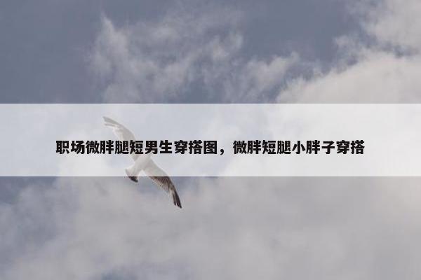 职场微胖腿短男生穿搭图，微胖短腿小胖子穿搭