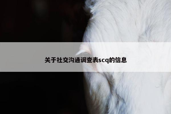 关于社交沟通调查表scq的信息