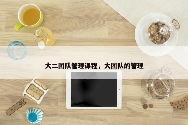 大二团队管理课程，大团队的管理
