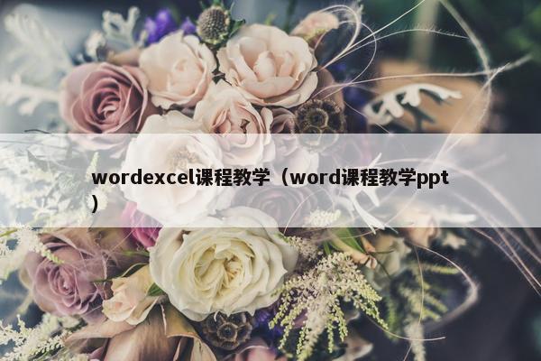 wordexcel课程教学（word课程教学ppt）