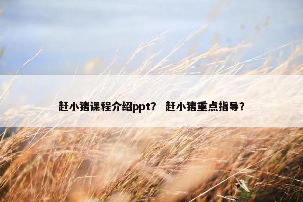 赶小猪课程介绍ppt？ 赶小猪重点指导？