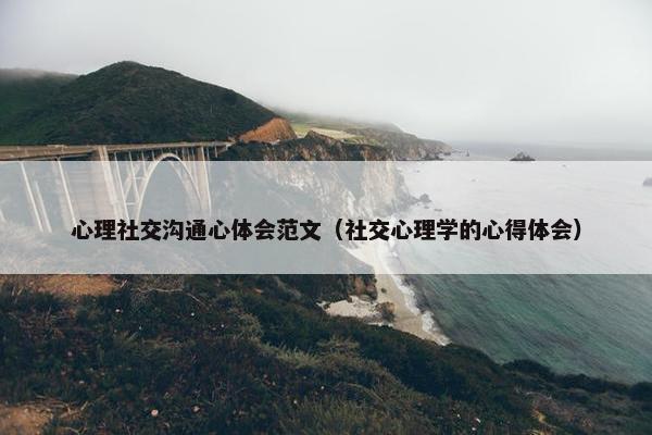 心理社交沟通心体会范文（社交心理学的心得体会）