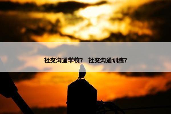 社交沟通学校？ 社交沟通训练？