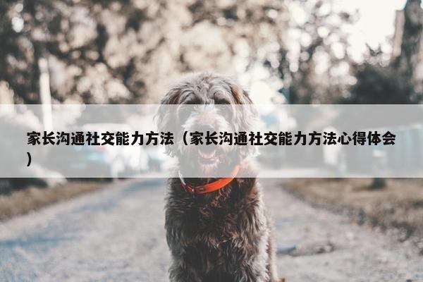 家长沟通社交能力方法（家长沟通社交能力方法心得体会）