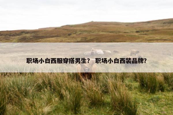 职场小白西服穿搭男生？ 职场小白西装品牌？
