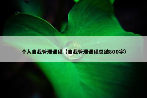 个人自我管理课程（自我管理课程总结800字）