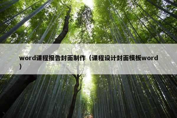 word课程报告封面制作（课程设计封面模板word）