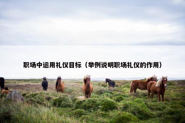职场中运用礼仪目标（举例说明职场礼仪的作用）