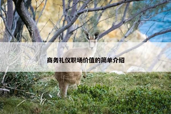 商务礼仪职场价值的简单介绍
