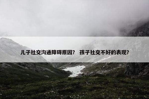 儿子社交沟通障碍原因？ 孩子社交不好的表现？
