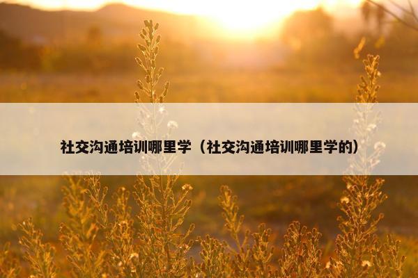 社交沟通培训哪里学（社交沟通培训哪里学的）