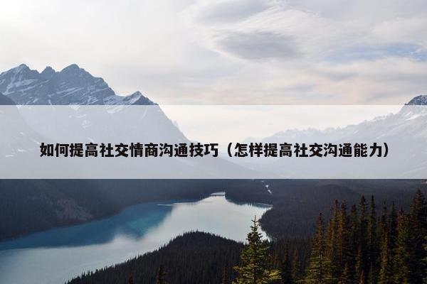 如何提高社交情商沟通技巧（怎样提高社交沟通能力）