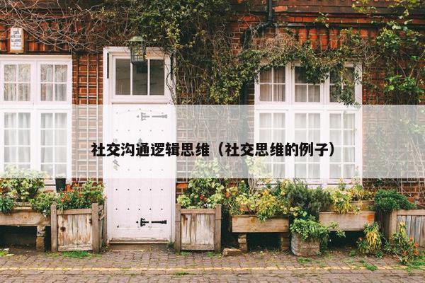 社交沟通逻辑思维（社交思维的例子）
