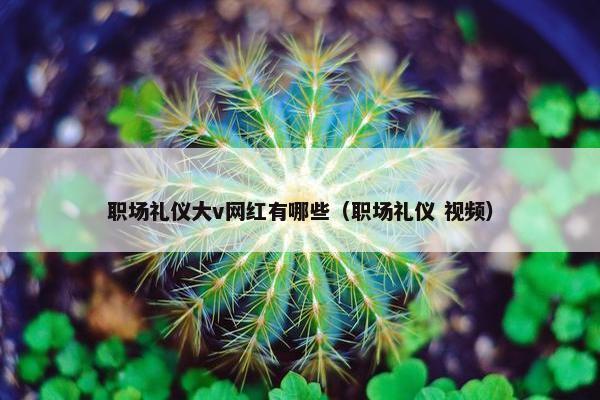 职场礼仪大v网红有哪些（职场礼仪 视频）