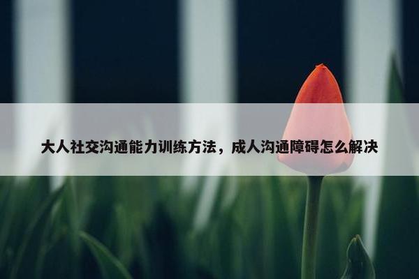 大人社交沟通能力训练方法，成人沟通障碍怎么解决