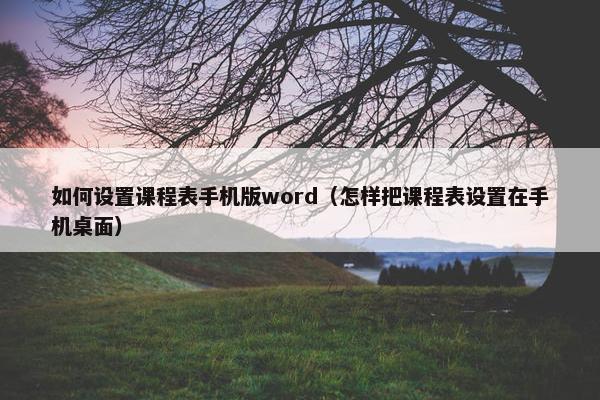 如何设置课程表手机版word（怎样把课程表设置在手机桌面）