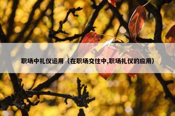 职场中礼仪运用（在职场交往中,职场礼仪的应用）