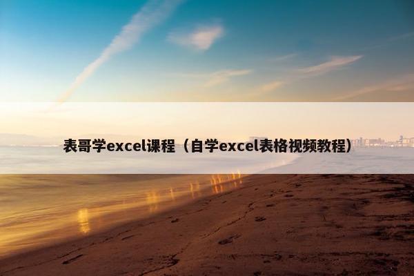 表哥学excel课程（自学excel表格视频教程）