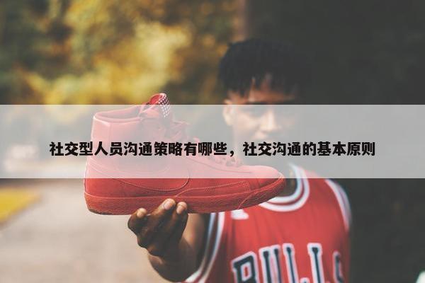 社交型人员沟通策略有哪些，社交沟通的基本原则