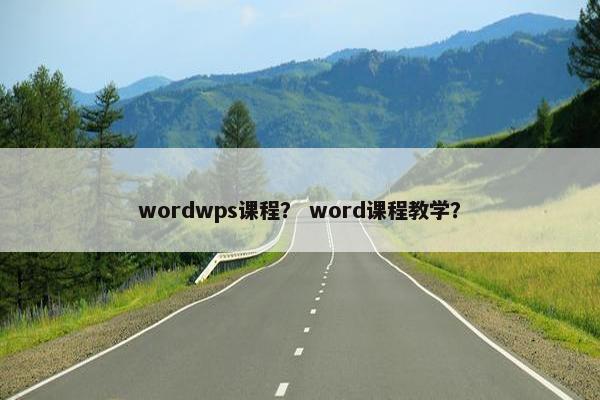 wordwps课程？ word课程教学？