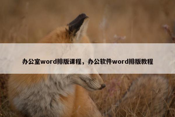 办公室word排版课程，办公软件word排版教程