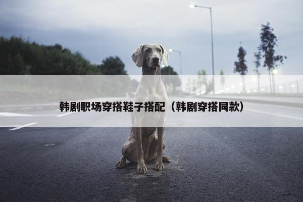 韩剧职场穿搭鞋子搭配（韩剧穿搭同款）