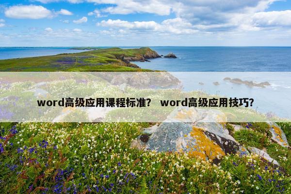 word高级应用课程标准？ word高级应用技巧？