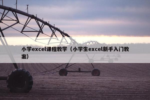 小学excel课程教学（小学生excel新手入门教案）