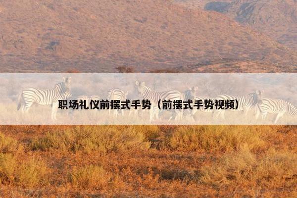 职场礼仪前摆式手势（前摆式手势视频）