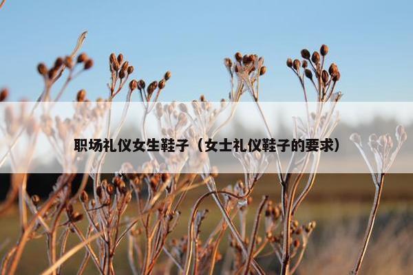 职场礼仪女生鞋子（女士礼仪鞋子的要求）