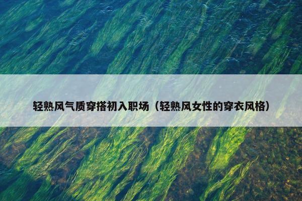 轻熟风气质穿搭初入职场（轻熟风女性的穿衣风格）