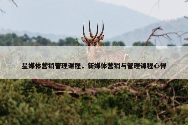 星媒体营销管理课程，新媒体营销与管理课程心得