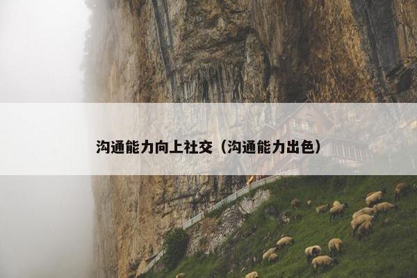 沟通能力向上社交（沟通能力出色）