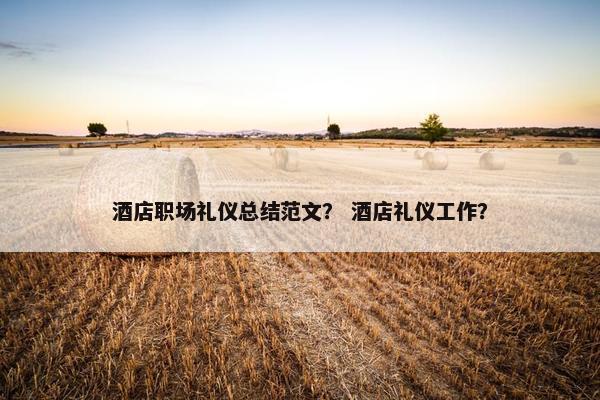 酒店职场礼仪总结范文？ 酒店礼仪工作？