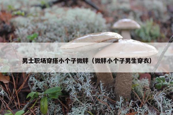 男士职场穿搭小个子微胖（微胖小个子男生穿衣）