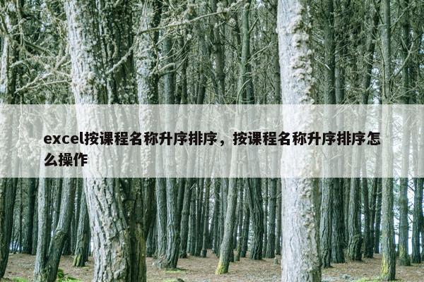 excel按课程名称升序排序，按课程名称升序排序怎么操作