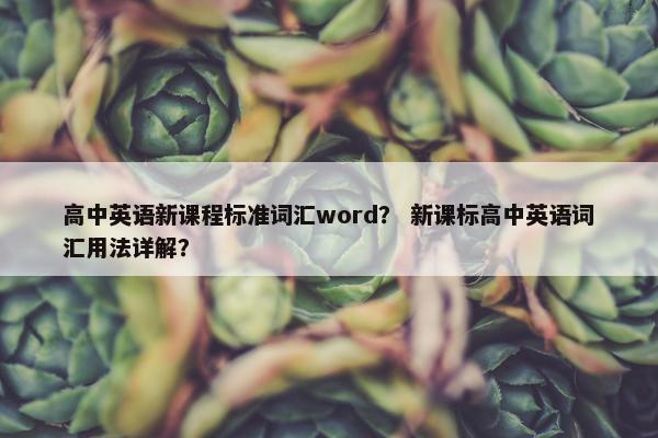 高中英语新课程标准词汇word？ 新课标高中英语词汇用法详解？