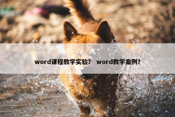 word课程教学实验？ word教学案例？